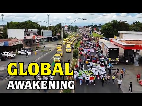 A holland gazdák már ébrednek: ha nincsenek gazdák, nincs élelmiszer!