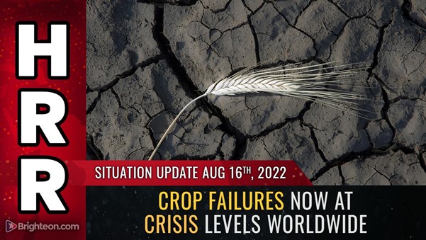 Crop failures now at CRISIS LEVELS worldwide as the United Nations declares war on FERTILIZER