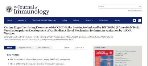 Meddig termelik a sejtek a genetikai injekciók beadását követően a SARS-Cov2 vírus patogén részét a tüskefehérjét?