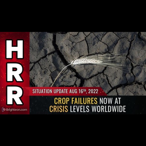 A terméskiesés már világszerte KRISZISZINTŰ, mivel az ENSZ háborút hirdetett a MŰTRÁGYA  ellen