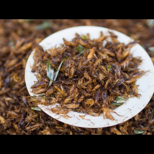 Mi ez a szag? A nagy élelmiszeripari vállalatok csendben tücsköket és más rovarokat tesznek az ételszeletbe, sütikbe és rágcsálnivalókba