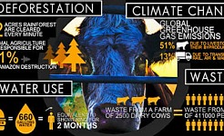 A Leading Cause of Climate Change that No One is Talking About